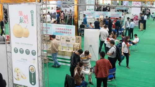 這一年，我們不一樣——禮儀服務的變革與堅守